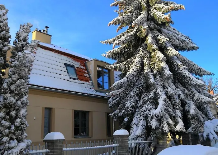 Krocinka Praha