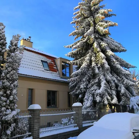 Krocinka Prague